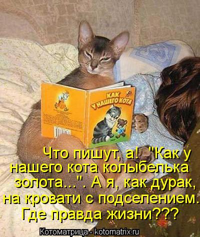 Котоматрица: нашего кота колыбелька Что пишут, а!  "Как у   золота...". А я, как дурак, на кровати с подселением. Где правда жизни???