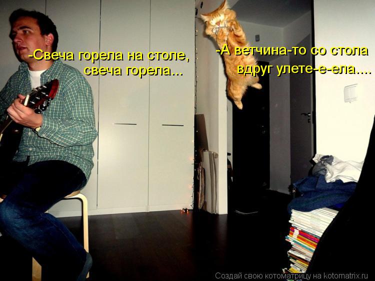 -Свеча горела на столе, свеча горела... -А ветчина-то со стола вдруг улете-е-ела....... Котоматрица: -Свеча горела на столе, свеча горела... -А ветчина-то со стола вдруг улете-е-ела....