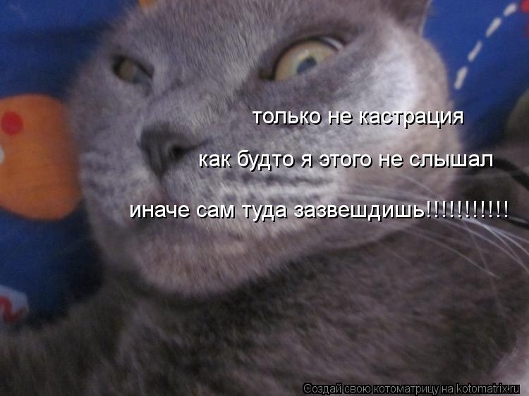 только не кастрация как будто я этого не слышал иначе сам туда зазвешдишь!!!!!!!!!!!... Котоматрица: только не кастрация как будто я этого не слышал иначе сам туда зазвешдишь!!!!!!!!!!!