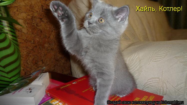 Хайль, Котлер!... Котоматрица: Хайль, Котлер!