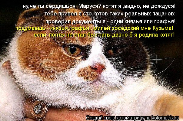 ну,че ты сердишься, Маруся? котят я ,видно, не дождуся! тебе привел я сто котов-таких реальных пацано... Котоматрица: ну,че ты сердишься, Маруся? котят я ,видно, не дождуся! тебе привел я сто котов-таких реальных пацанов: проверил документы я - одни князья или