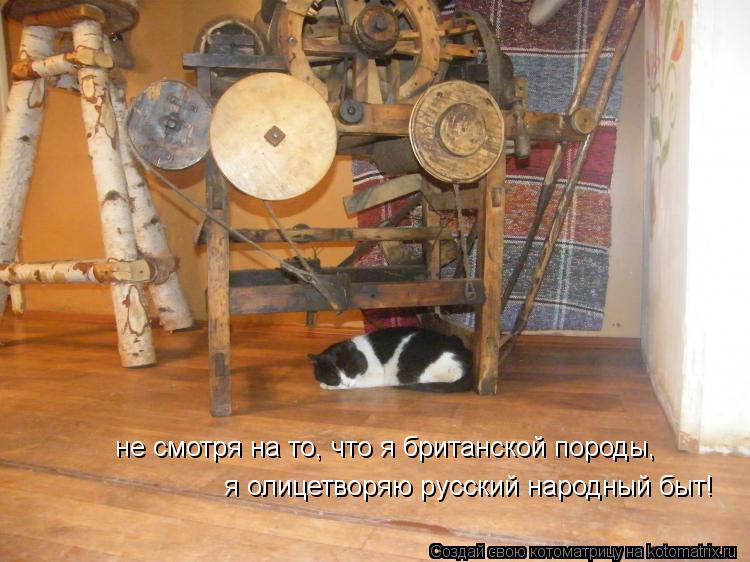 не смотря на то, что я британской породы, я олицетворяю русский народный быт!... Котоматрица: не смотря на то, что я британской породы, я олицетворяю русский народный быт!