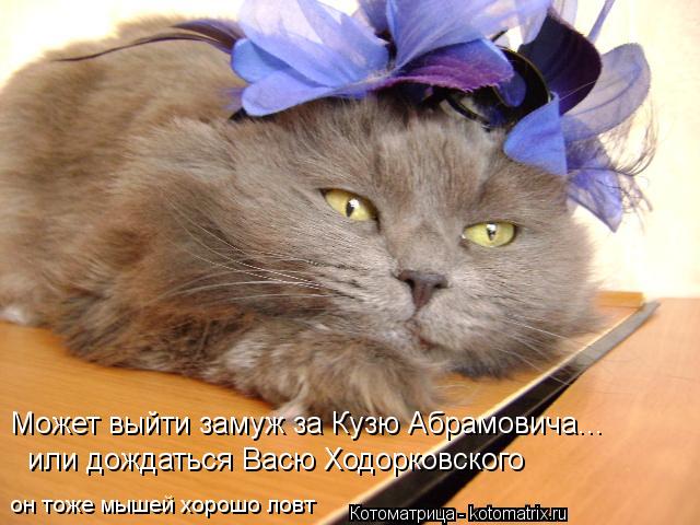 или дождаться Васю Ходорковского он тоже мышей хорошо ловт Может выйти замуж за Кузю Абрамовича...... Котоматрица: или дождаться Васю Ходорковского он тоже мышей хорошо ловт Может выйти замуж за Кузю Абрамовича...