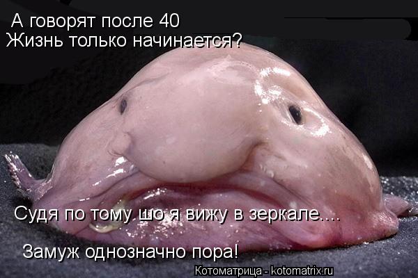 Котоматрица: А говорят после 40  Жизнь только начинается? Судя по тому шо я вижу в зеркале.... Замуж однозначно пора!