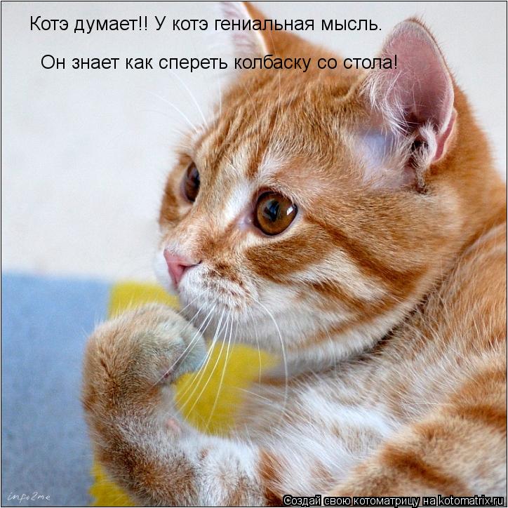 Котоматрица: Котэ думает!! У котэ гениальная мысль. Он знает как спереть колбаску со стола!
