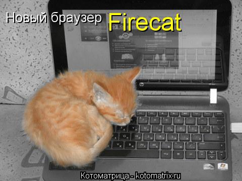 Новый браузер Firecat... Котоматрица: Новый браузер Firecat