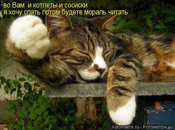 Котоматрица: во Вам  и котлеты и сосиски  я хочу спать потом будете мораль читать