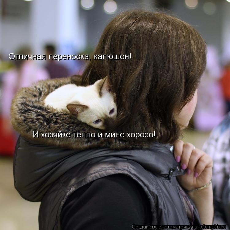 Котоматрица: Отличная переноска, капюшон! И хозяйке тепло и мине хоросо!