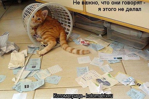 Котоматрица: Не важно, что они говорят - я этого не делал