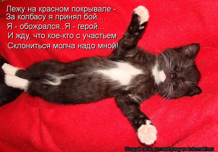 Лежу на красном покрывале - За колбасу я принял бой.... Я - обожрался..Я - герой... И жду, что кое-кт... Котоматрица: Лежу на красном покрывале - За колбасу я принял бой.... Я - обожрался..Я - герой... И жду, что кое-кто с участьем Склониться молча надо мной!