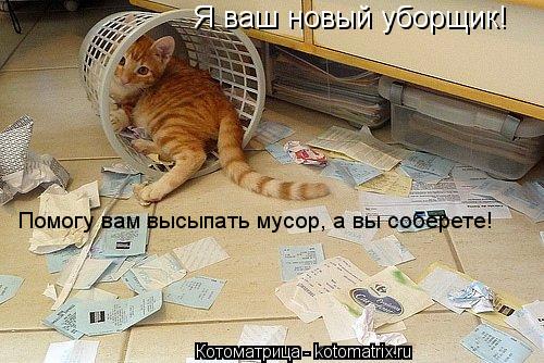 Я ваш новый уборщик! Помогу вам высыпать мусор, а вы соберете!... Котоматрица: Я ваш новый уборщик! Помогу вам высыпать мусор, а вы соберете!