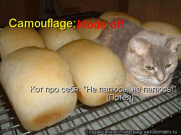Camouflage: Mode off Кот про себя: "Не палюсь, не палюсь!" (Потея)... Котоматрица: Camouflage: Mode off Кот про себя: "Не палюсь, не палюсь!" (Потея)