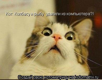 Кот: Колбасу удалили - Кот: Колбасу и рыбу удалили из компьютера?!... Котоматрица: Кот: Колбасу удалили - Кот: Колбасу и рыбу удалили из компьютера?!