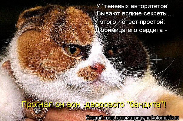 У "теневых авторитетов" Бывают всякие секреты... У этого - ответ простой: Любимица его сердита - Пр... Котоматрица: У "теневых авторитетов" Бывают всякие секреты... У этого - ответ простой: Любимица его сердита - Прогнал он вон -дворового "бандита"!