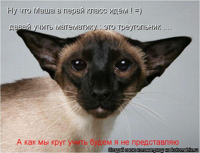 Ну что Маша в первй класс идём ! =) давай учить математику : это треугольник .... А как мы круг учить... Котоматрица: Ну что Маша в первй класс идём ! =) давай учить математику : это треугольник .... А как мы круг учить будем я не представляю