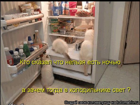 Кто сказал что нельзя есть ночью а зачем тогда в холодильнике свет ?... Котоматрица: Кто сказал что нельзя есть ночью а зачем тогда в холодильнике свет ?