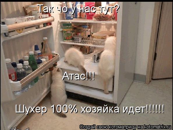 Так чо у нас тут? Атас!!! Шухер 100% хозяйка идет!!!!!!... Котоматрица: Так чо у нас тут? Атас!!! Шухер 100% хозяйка идет!!!!!!