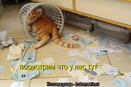 посмотрим что у нас тут... Котоматрица: посмотрим что у нас тут