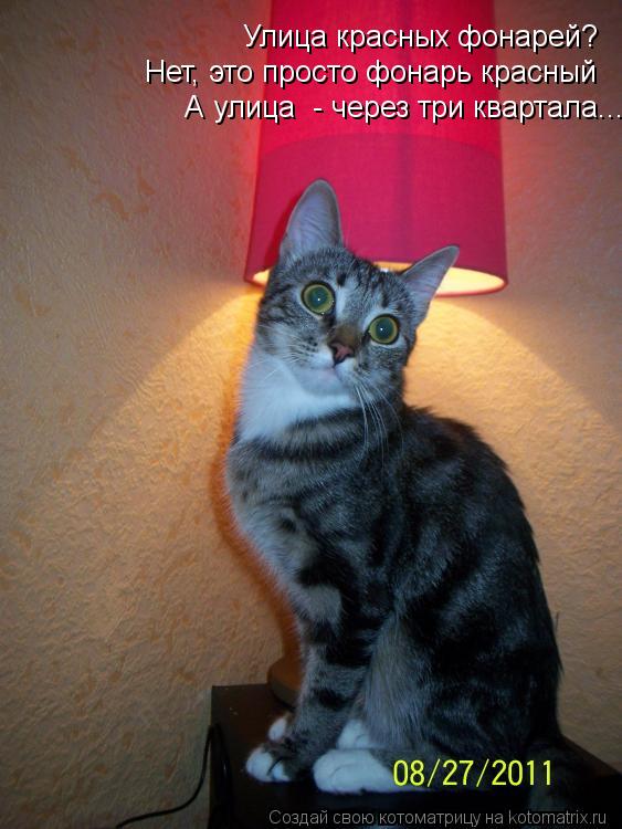 Улица красных фонарей? Нет, это просто фонарь красный А улица - через три квартала...... Котоматрица: Улица красных фонарей? Нет, это просто фонарь красный А улица - через три квартала...