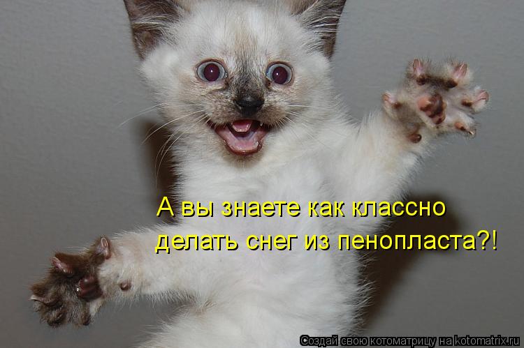 А вы знаете как классно делать снег из пенопласта?!... Котоматрица: А вы знаете как классно делать снег из пенопласта?!