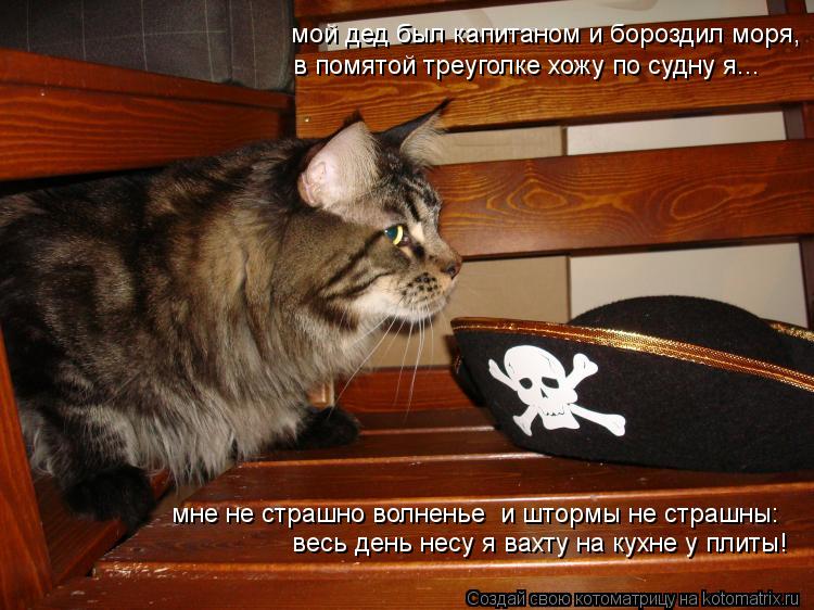 мой дед был капитаном и бороздил моря, в помятой треуголке хожу по судну я... весь день несу я вахту ... Котоматрица: мой дед был капитаном и бороздил моря, в помятой треуголке хожу по судну я... весь день несу я вахту на кухне у плиты! мне не страшно волненье