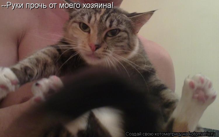 --Руки прочь от моего хозяина!... Котоматрица: --Руки прочь от моего хозяина!