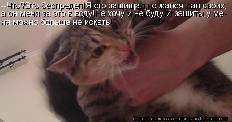 --Что?Это беспредел!Я его защищал,не жалея лап своих, а он меня за это в воду!Не хочу и не буду!И защ... Котоматрица: --Что?Это беспредел!Я его защищал,не жалея лап своих, а он меня за это в воду!Не хочу и не буду!И защиты у ме- ня можно больше не искать!