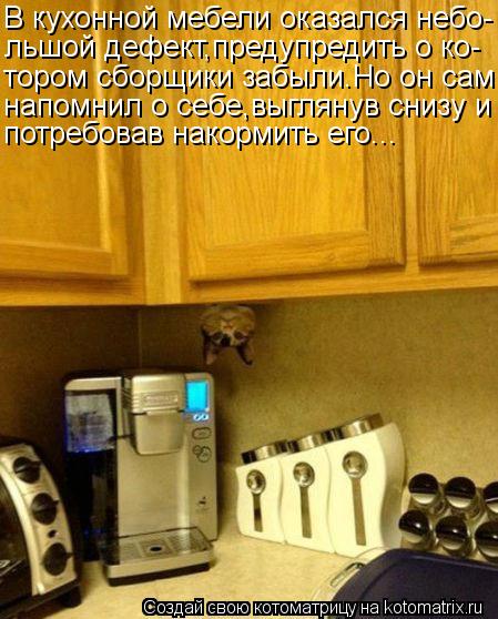 В кухонной мебели оказался небо- льшой дефект,предупредить о ко- тором сборщики забыли.Но он сам напо... Котоматрица: В кухонной мебели оказался небо- льшой дефект,предупредить о ко- тором сборщики забыли.Но он сам напомнил о себе,выглянув снизу и потребова