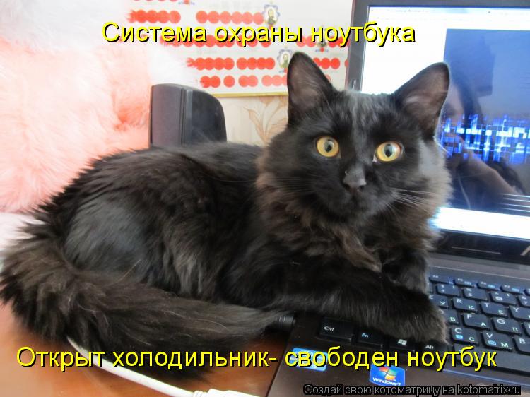 Открыт холодильник- свободен ноутбук Система охраны ноутбука... Котоматрица: Открыт холодильник- свободен ноутбук Система охраны ноутбука