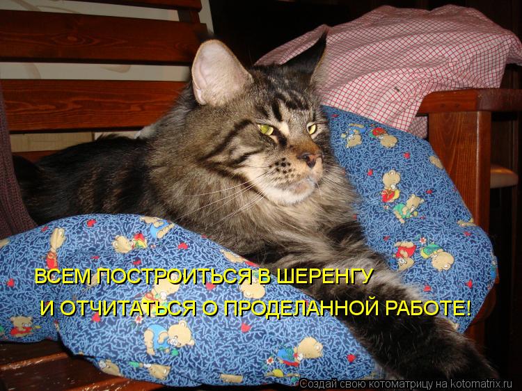 ВСЕМ ПОСТРОИТЬСЯ В ШЕРЕНГУ И ОТЧИТАТЬСЯ О ПРОДЕЛАННОЙ РАБОТЕ!... Котоматрица: ВСЕМ ПОСТРОИТЬСЯ В ШЕРЕНГУ И ОТЧИТАТЬСЯ О ПРОДЕЛАННОЙ РАБОТЕ!
