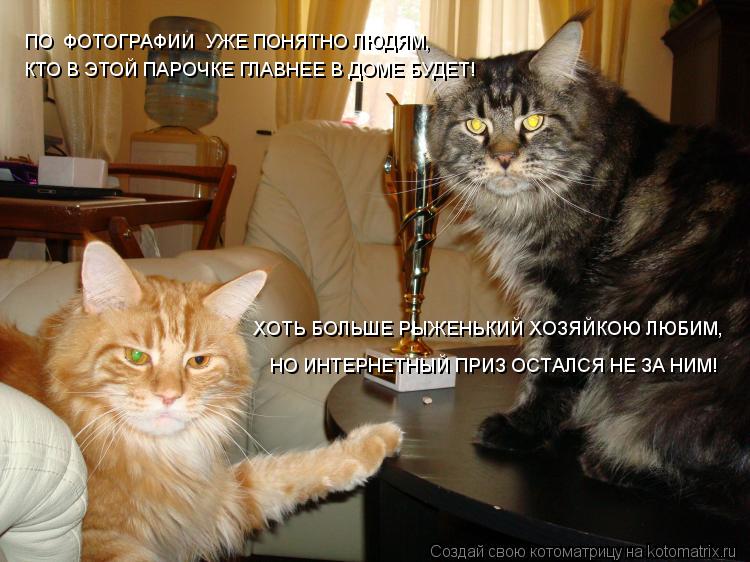 Котоматрица: ПО  ФОТОГРАФИИ  УЖЕ ПОНЯТНО ЛЮДЯМ, КТО В ЭТОЙ ПАРОЧКЕ ГЛАВНЕЕ В ДОМЕ БУДЕТ! ХОТЬ БОЛЬШЕ РЫЖЕНЬКИЙ ХОЗЯЙКОЮ ЛЮБИМ, НО ИНТЕРНЕТНЫЙ ПРИЗ ОСТАЛС