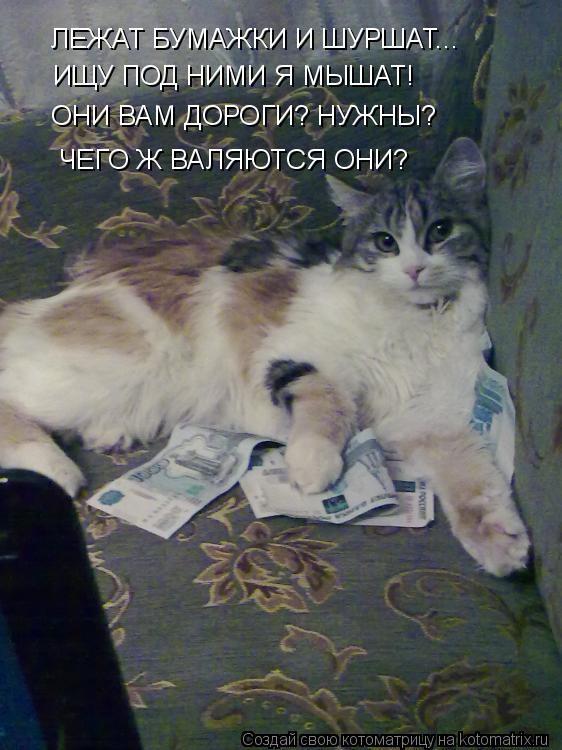 Котоматрица: ЛЕЖАТ БУМАЖКИ И ШУРШАТ... ИЩУ ПОД НИМИ Я МЫШАТ! ОНИ ВАМ ДОРОГИ? НУЖНЫ? ЧЕГО Ж ВАЛЯЮТСЯ ОНИ?
