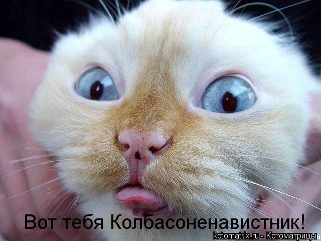 Котоматрица: Вот тебя Колбасоненавистник!