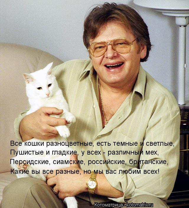 Все кошки разноцветные, есть темные и светлые, Пушистые и гладкие, у всех - различный мех, Персидские... Котоматрица: Все кошки разноцветные, есть темные и светлые, Пушистые и гладкие, у всех - различный мех, Персидские, сиамские, российские, британские, Каки