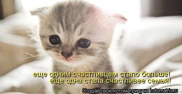 еще одна стала счастливее семья! еще одним счастливцем стало больше!... Котоматрица: еще одна стала счастливее семья! еще одним счастливцем стало больше!