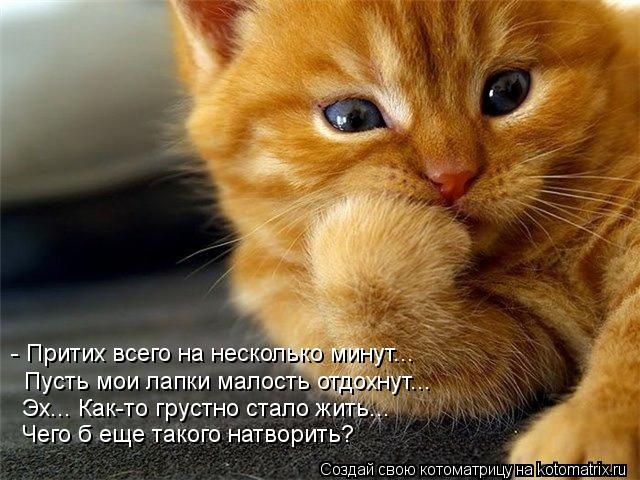 - Притих всего на несколько минут... Пусть мои лапки малость отдохнут... Эх... Как-то грустно стало ж... Котоматрица: - Притих всего на несколько минут... Пусть мои лапки малость отдохнут... Эх... Как-то грустно стало жить... Чего б еще такого натворить?