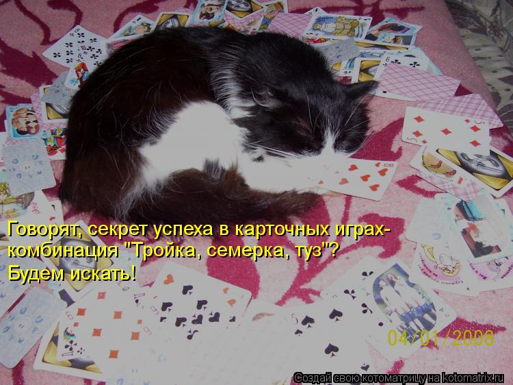 Говорят, секрет успеха в карточных играх- комбинация "Тройка, семерка, туз"? Будем искать!... Котоматрица: Говорят, секрет успеха в карточных играх- комбинация "Тройка, семерка, туз"? Будем искать!