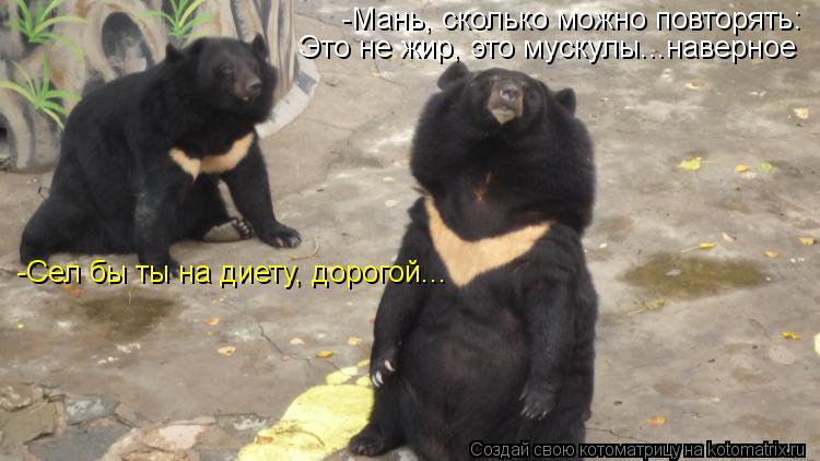 -Сел бы ты на диету, дорогой... -Мань, сколько можно повторять: Это не жир, это мускулы...наверное... Котоматрица: -Сел бы ты на диету, дорогой... -Мань, сколько можно повторять: Это не жир, это мускулы...наверное
