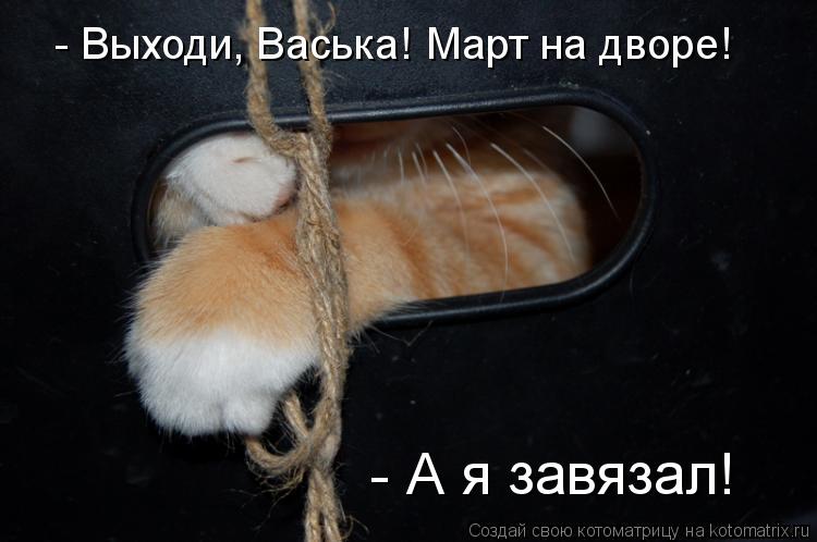 - Выходи, Васька! Март на дворе! - А я завязал!... Котоматрица: - Выходи, Васька! Март на дворе! - А я завязал!