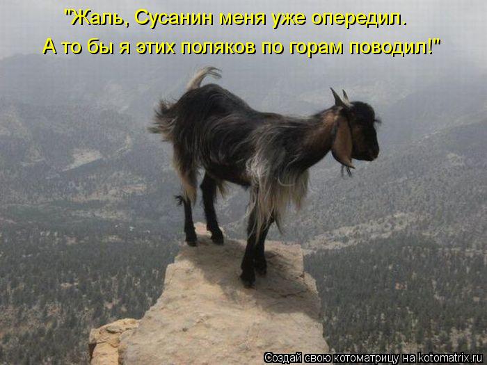 "Жаль, Сусанин меня уже опередил. А то бы я этих поляков по горам поводил!"... Котоматрица: "Жаль, Сусанин меня уже опередил. А то бы я этих поляков по горам поводил!"