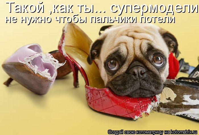 не нужно чтобы пальчики потели Такой ,как ты... супермодели... Котоматрица: не нужно чтобы пальчики потели Такой ,как ты... супермодели