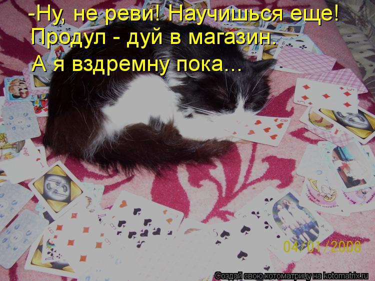 -Ну, не реви! Научишься еще! Продул - дуй в магазин. А я вздремну пока...... Котоматрица: -Ну, не реви! Научишься еще! Продул - дуй в магазин. А я вздремну пока...