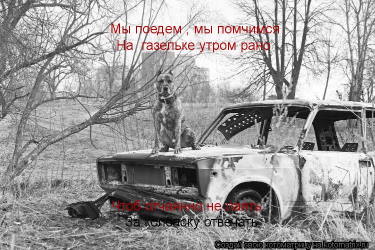 Мы поедем , мы помчимся На газельке утром рано За колбаску отвечать Чтоб отчаянно не лаять... Котоматрица: Мы поедем , мы помчимся На газельке утром рано За колбаску отвечать Чтоб отчаянно не лаять