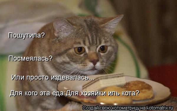 Или просто издевалась... Посмеялась? Пошутила? Для кого эта еда:Для хозяйки иль кота?... Котоматрица: Или просто издевалась... Посмеялась? Пошутила? Для кого эта еда:Для хозяйки иль кота?