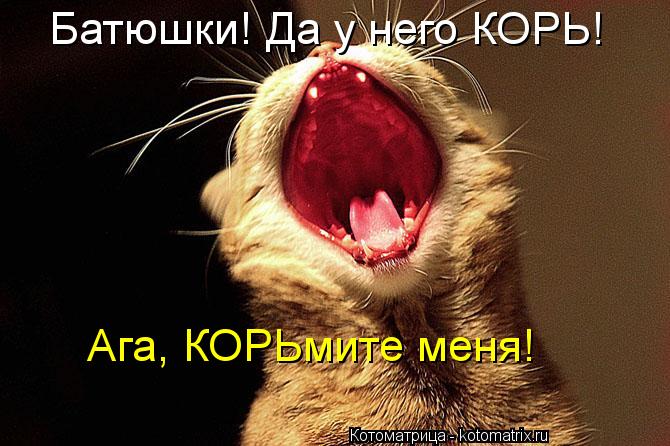 Батюшки! Да у него КОРЬ! Ага, КОРЬмите меня!... Котоматрица: Батюшки! Да у него КОРЬ! Ага, КОРЬмите меня!