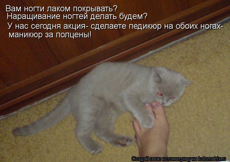 Вам ногти лаком покрывать? Наращивание ногтей делать будем? У нас сегодня акция- сделаете педикюр на ... Котоматрица: Вам ногти лаком покрывать? Наращивание ногтей делать будем? У нас сегодня акция- сделаете педикюр на обоих ногах- маникюр за полцены!