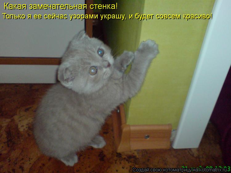 Какая замечательная стенка! Только я ее сейчас узорами украшу, и будет совсем красиво!... Котоматрица: Какая замечательная стенка! Только я ее сейчас узорами украшу, и будет совсем красиво!