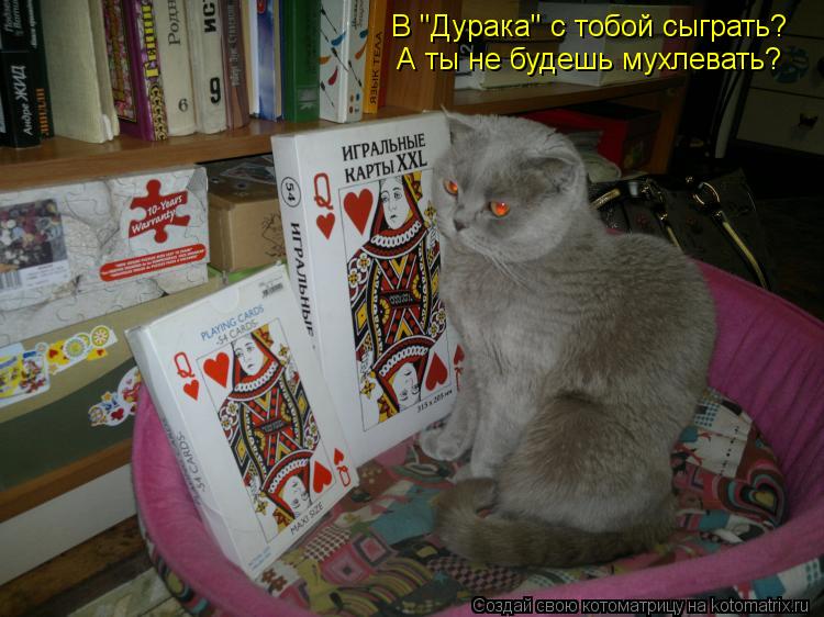 В "Дурака" с тобой сыграть? А ты не будешь мухлевать?... Котоматрица: В "Дурака" с тобой сыграть? А ты не будешь мухлевать?