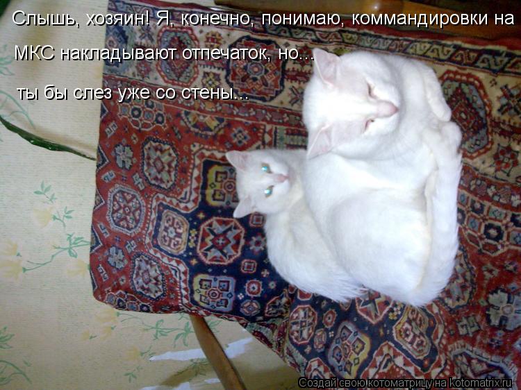 Слышь, хозяин! Я, конечно, понимаю, коммандировки на МКС накладывают отпечаток, но... ты бы слез уже ... Котоматрица: Слышь, хозяин! Я, конечно, понимаю, коммандировки на МКС накладывают отпечаток, но... ты бы слез уже со стены...