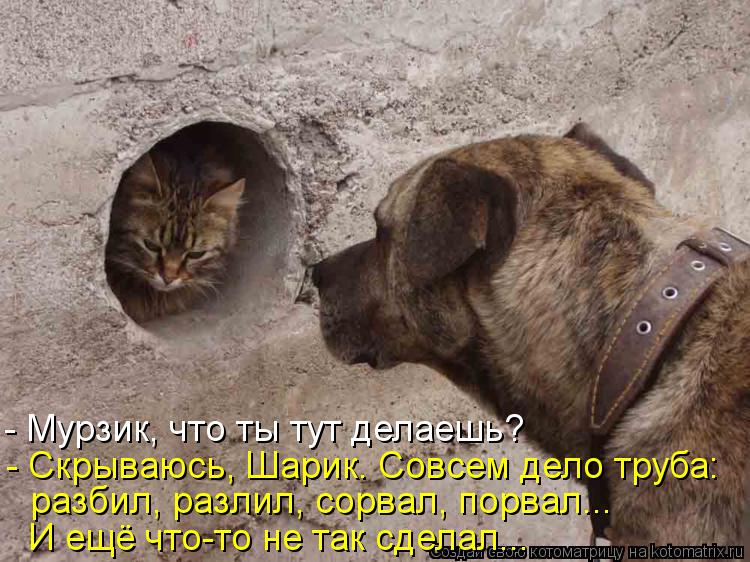 - Мурзик, что ты тут делаешь? - Скрываюсь, Шарик. Совсем дело труба: И ещё что-то не так сделал... р... Котоматрица: - Мурзик, что ты тут делаешь? - Скрываюсь, Шарик. Совсем дело труба: И ещё что-то не так сделал... разбил, разлил, сорвал, порвал...